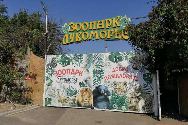 Изображение Изображение гостиницы &quot;Гостиница «Фортуна»&quot; #2 #2