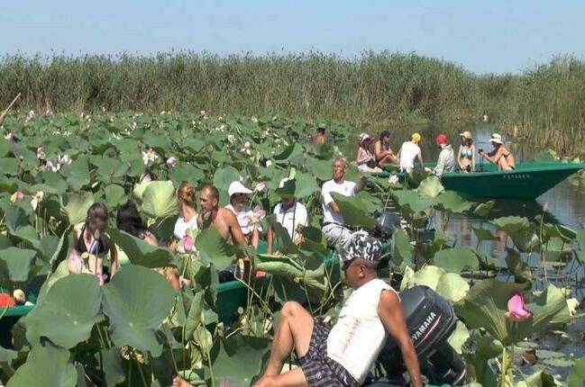 Изображение Изображение гостиницы &quot;Гостиница «Фортуна»&quot; #4 #4