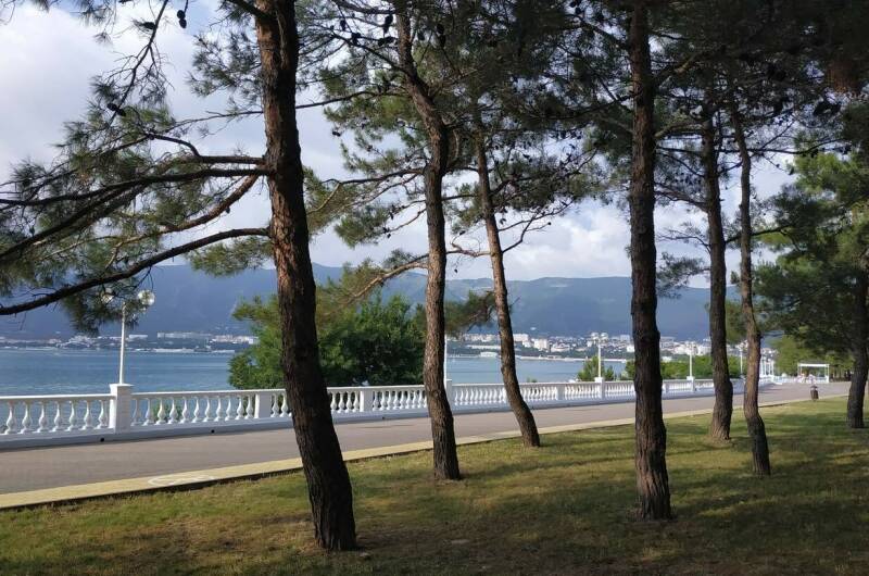 Изображение Изображение квартиры &quot;Квартира у самого Черного моря&quot; #2 #2