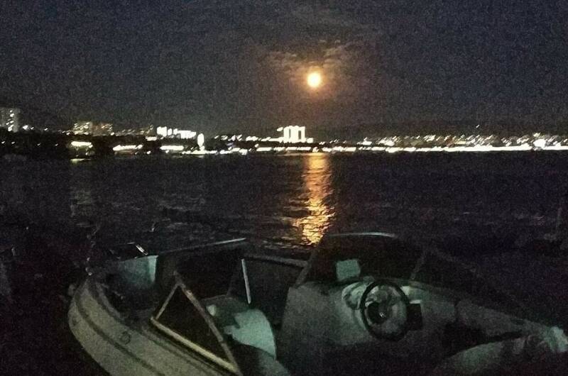 Изображение Изображение квартиры &quot;Квартира у самого Черного моря&quot; #7 #7