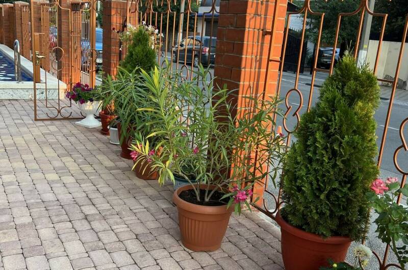 Изображение Изображение гостиницы &quot;Hotel «Anna-Maria»&quot; #3 #3