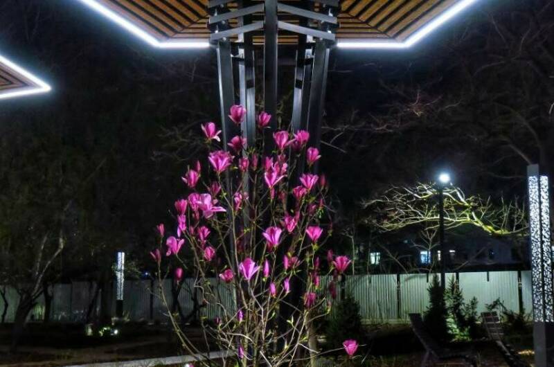 Изображение Изображение квартиры &quot;Квартира у парка Фрунзе и горпляжа&quot; #2 #2