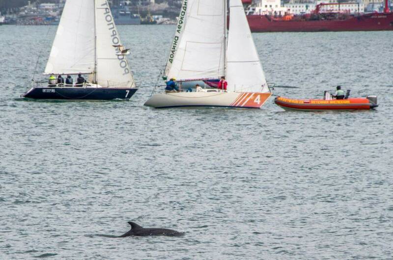 Изображение Изображение квартиры &quot;Квартира у парка Фрунзе и горпляжа&quot; #8 #8