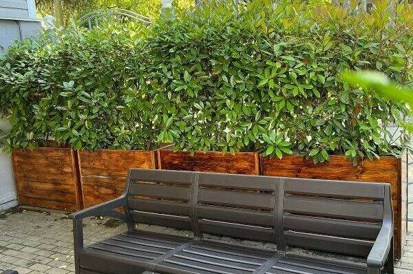 Изображение Изображение гостиницы "Отель «ASSIR»" #2 #2