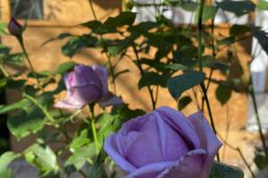 Изображение отеля / гостиницы "Дом на Кирпичной 5"