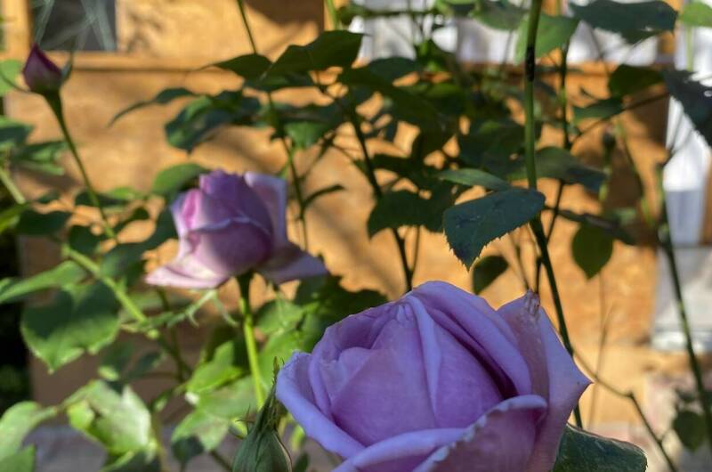 Изображение Изображение гостиницы "Дом на Кирпичной 5" #1 #1