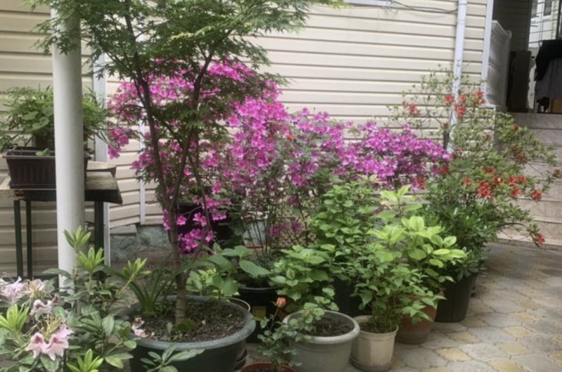 Изображение Изображение квартиры "Комната под ключ с удобствами" #5 #5