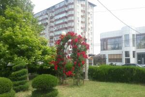 Изображение квартиры / апартамента "2-комнатные апартаменты"