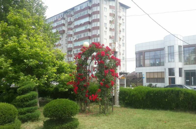 Изображение Изображение квартиры &quot;2-комнатные апартаменты&quot; #1 #1