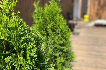 Изображение Изображение гостиницы "Гостевой комплекс «Атмосфера»" #8 #8