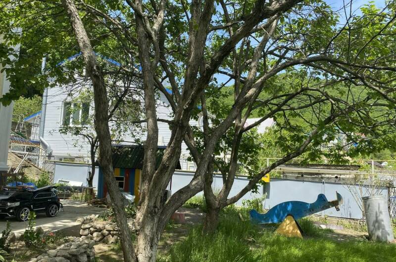 Изображение Изображение квартиры "«Дом на море» под ключ" #6 #6