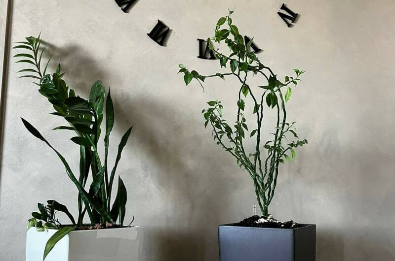 Изображение Изображение квартиры "Апартаменты в ЖК «Первомайский»" #7 #7