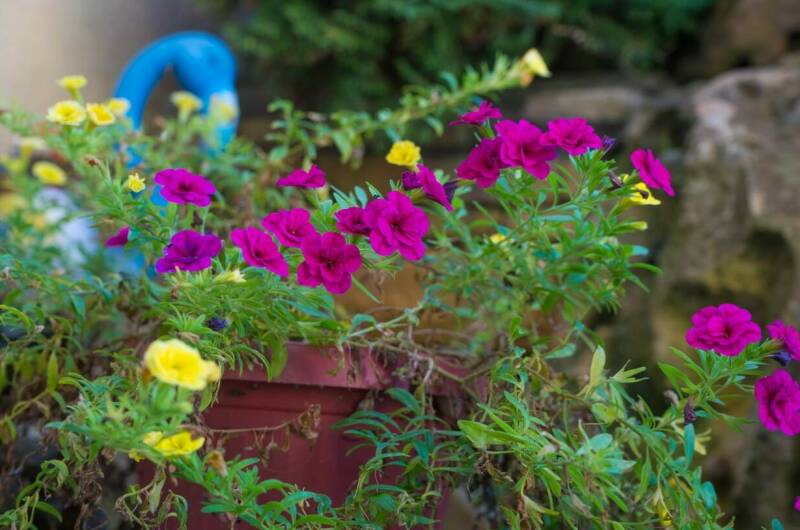 Изображение Изображение гостиницы &quot;Частное домовладение «Утёс»&quot; #2 #2