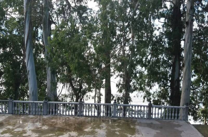 Изображение Изображение гостиницы "Гостевой дом «Берег эвкалиптов»" #2 #2