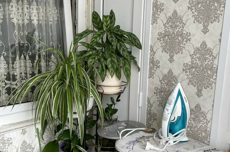 Изображение Изображение квартиры &quot;Однокомнатная квартира на Лазарева 54&quot; #4 #4