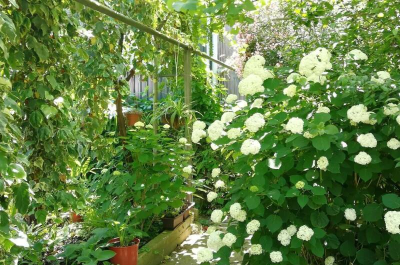 Изображение Изображение гостиницы &quot;Частный дом «Карусель»&quot; #3 #3