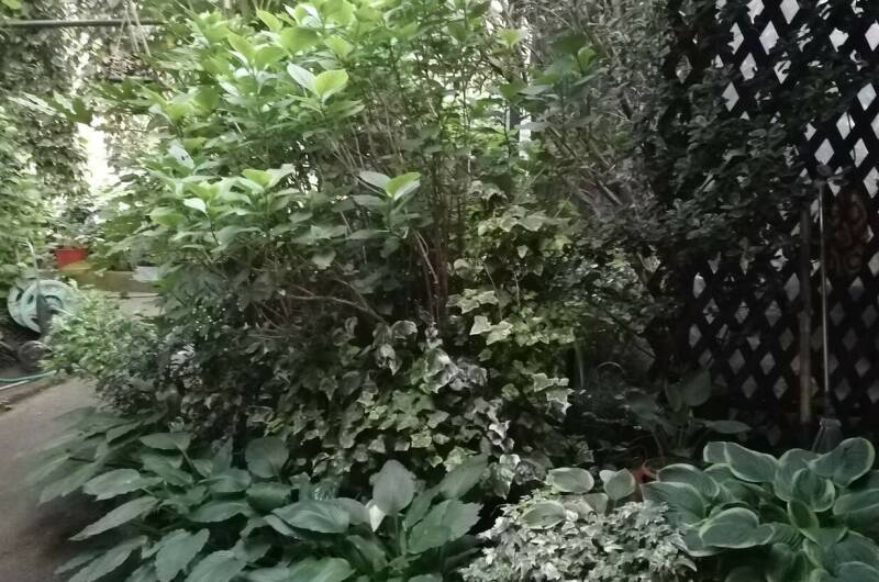 Изображение Изображение гостиницы &quot;Частный дом «Карусель»&quot; #4 #4