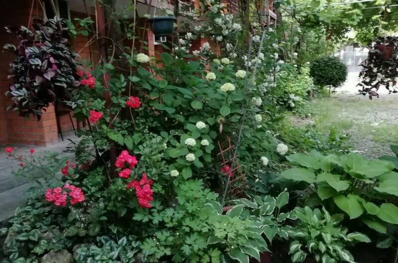 Изображение Изображение гостиницы &quot;Частный дом «Карусель»&quot; #6 #6