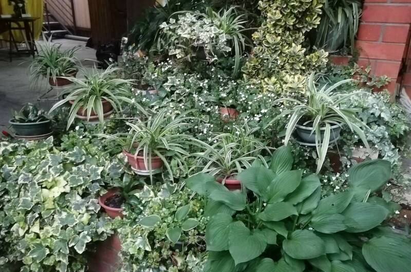 Изображение Изображение гостиницы &quot;Частный дом «Карусель»&quot; #7 #7