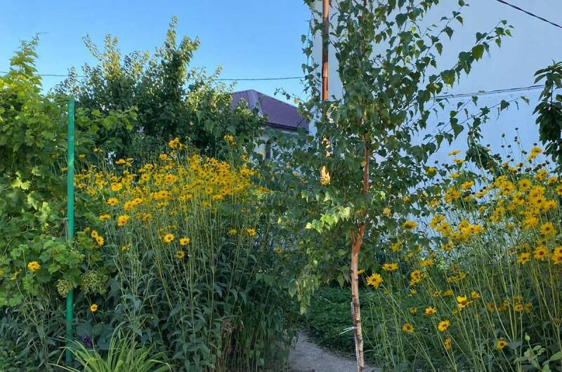 Изображение Изображение гостиницы &quot;Гостевой дом «Андреевский»&quot; #5 #5