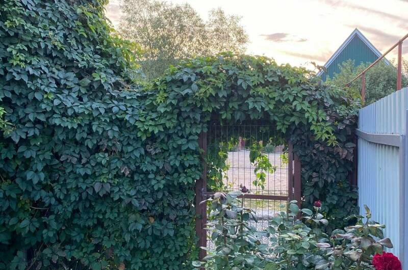 Изображение Изображение гостиницы &quot;Гостевой дом «Андреевский»&quot; #7 #7