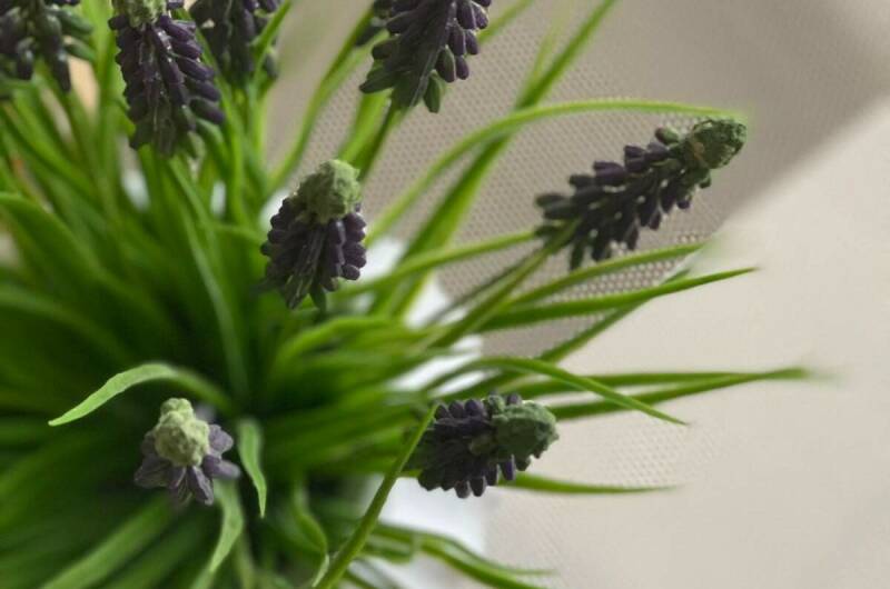 Изображение Изображение квартиры &quot;Квартира у моря&quot; #3 #3