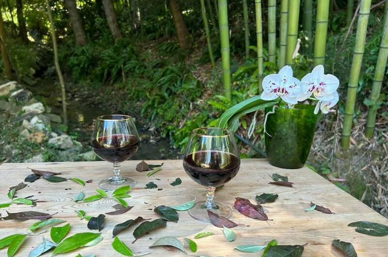 Изображение Изображение гостиницы &quot;Гостевой дом «Уют»&quot; #7 #7