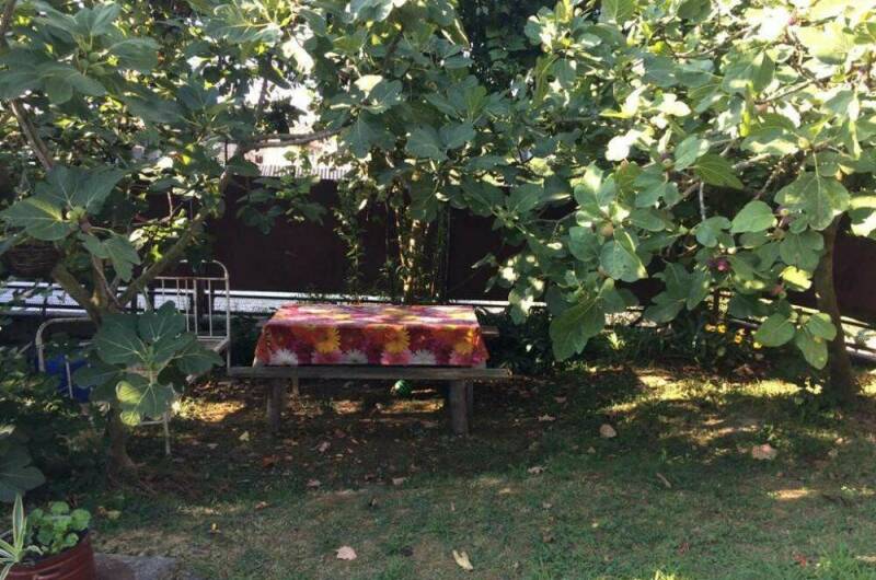 Изображение Изображение гостиницы &quot;Гостевой дом «Уют»&quot; #8 #8