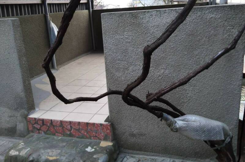 Изображение Изображение отеля / гостиницы "Частный дом на Черноморской" #10 #8