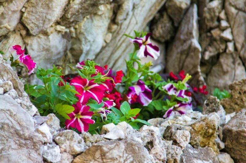 Изображение Изображение гостиницы &quot;Гостевой дом «Виктория»&quot; #7 #7