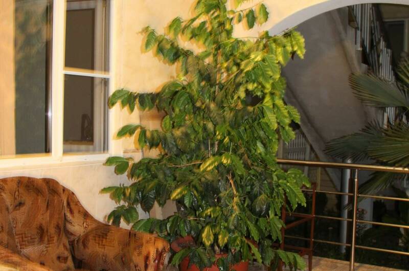 Изображение Изображение "Гостевой дом «Виктория»" #10 #8