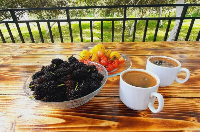 Изображение Изображение гостиницы &quot;Частный сектор «Уютное гнёздышко»&quot; #2 #2