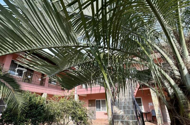 Изображение Изображение гостиницы "Гостевой дом «Розовый фламинго»" #4 #4