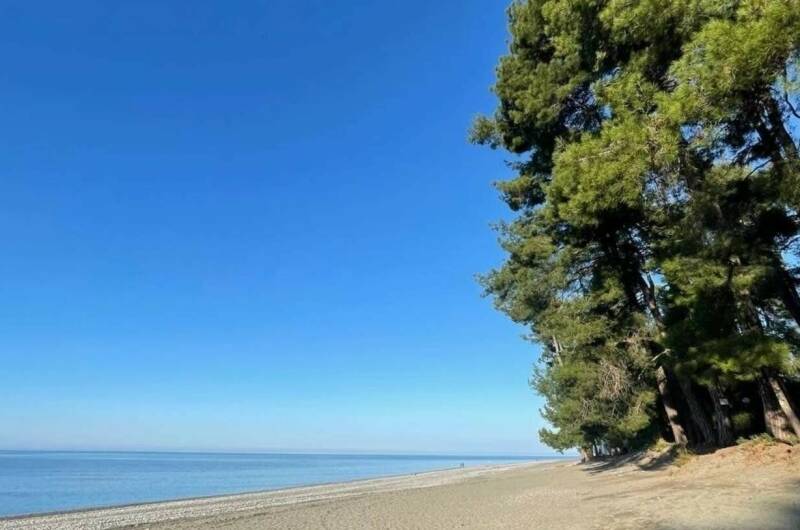 Изображение Изображение квартиры &quot;Двухкомнатная квартира в центре Пицунды&quot; #8 #8