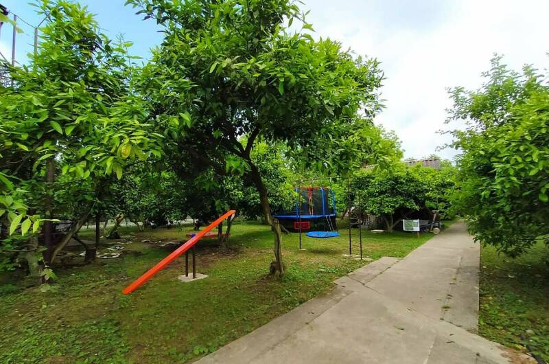 Изображение Изображение гостиницы "Отель «Мандариновый берег»" #4 #4