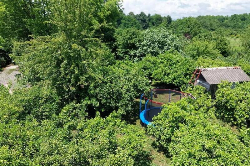 Изображение Изображение гостиницы "Отель «Мандариновый берег»" #6 #6