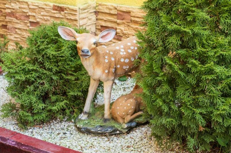 Изображение Изображение гостиницы "Гостевой дом «Дольче»" #8 #8