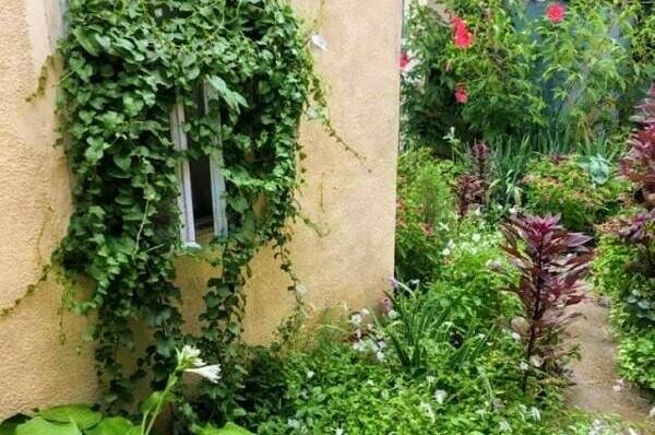 Изображение Изображение гостиницы &quot;Частный сектор на Гоголя&quot; #2 #2