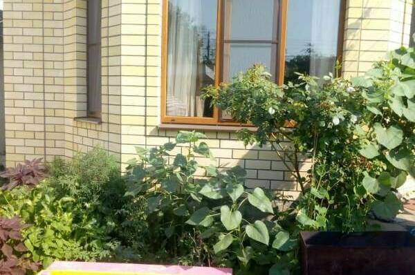 Изображение Изображение гостиницы &quot;Частный сектор на Гоголя&quot; #7 #7