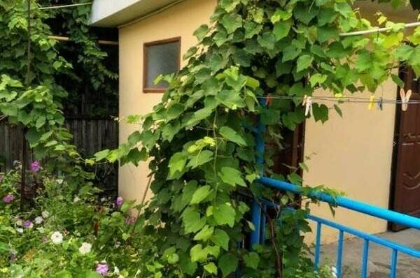 Изображение Изображение отеля / гостиницы "Частный сектор на Гоголя" #11 #9