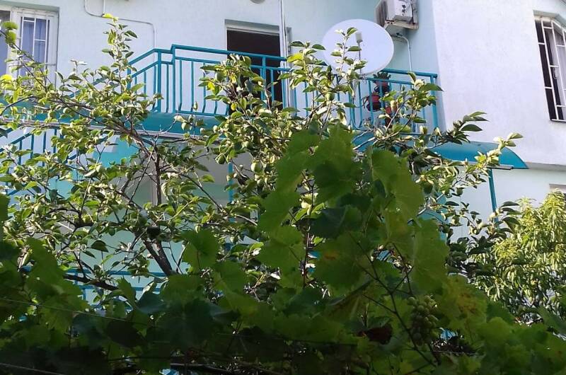 Изображение Изображение гостиницы "Гостевой дом «Отдых у моря корп.2»" #1 #1