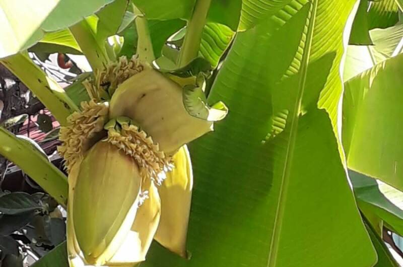 Изображение Изображение гостиницы "Гостевой дом «Отдых у моря корп.2»" #3 #3