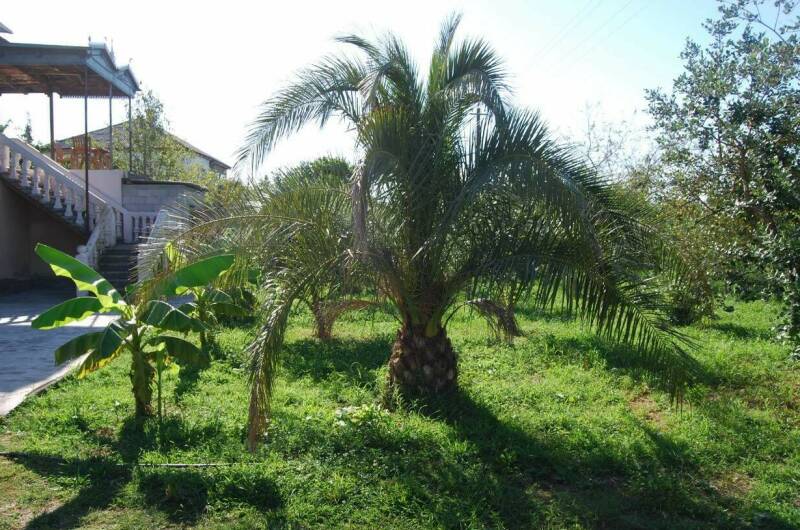 Изображение Изображение гостиницы &quot;Гостевой дом «У Рафа»&quot; #3 #3