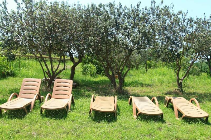 Изображение Изображение гостиницы &quot;Гостевой дом «У Рафа»&quot; #8 #8