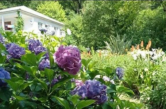 Изображение Изображение гостиницы &quot;Гостевой дом «Место под солнцем»&quot; #2 #2