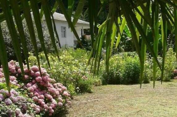 Изображение Изображение гостиницы &quot;Гостевой дом «Место под солнцем»&quot; #3 #3