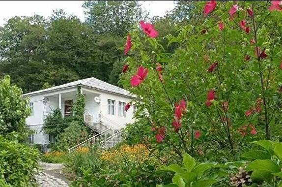 Изображение Изображение гостиницы &quot;Гостевой дом «Место под солнцем»&quot; #4 #4