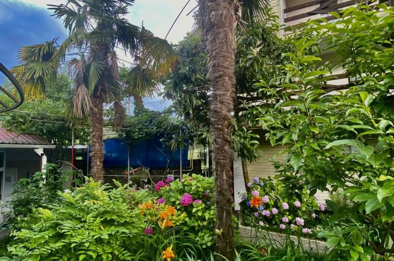 Изображение Изображение гостиницы &quot;Частное домовладение «Александрия»&quot; #8 #8