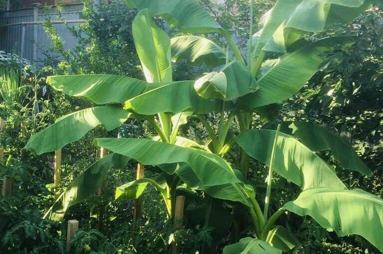 Изображение Изображение отеля / гостиницы "Гостевой дом на Черноморской" #10 #8