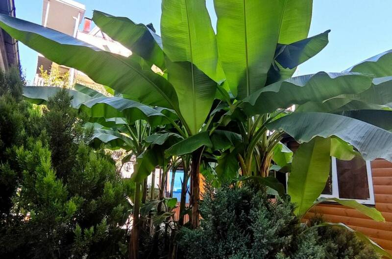 Изображение Изображение гостиницы "Частный сектор на Чкалова" #2 #2